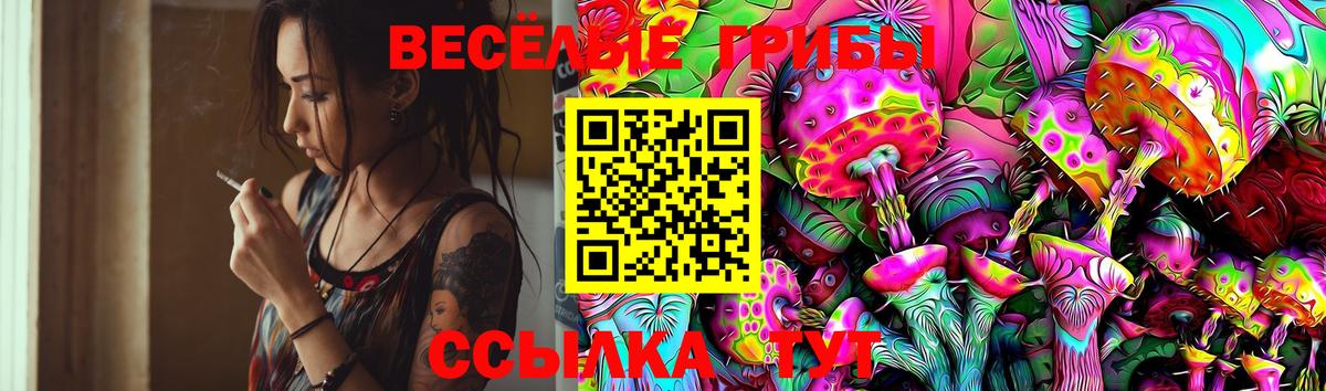 Псилоцибиновые грибы MAGIC MUSHROOMS Вольск